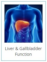 liver-and-gallbladder-2-.jpg